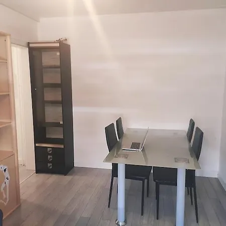 F2 collé Bale Basel poste frontiere et tramway Novartis Appartement